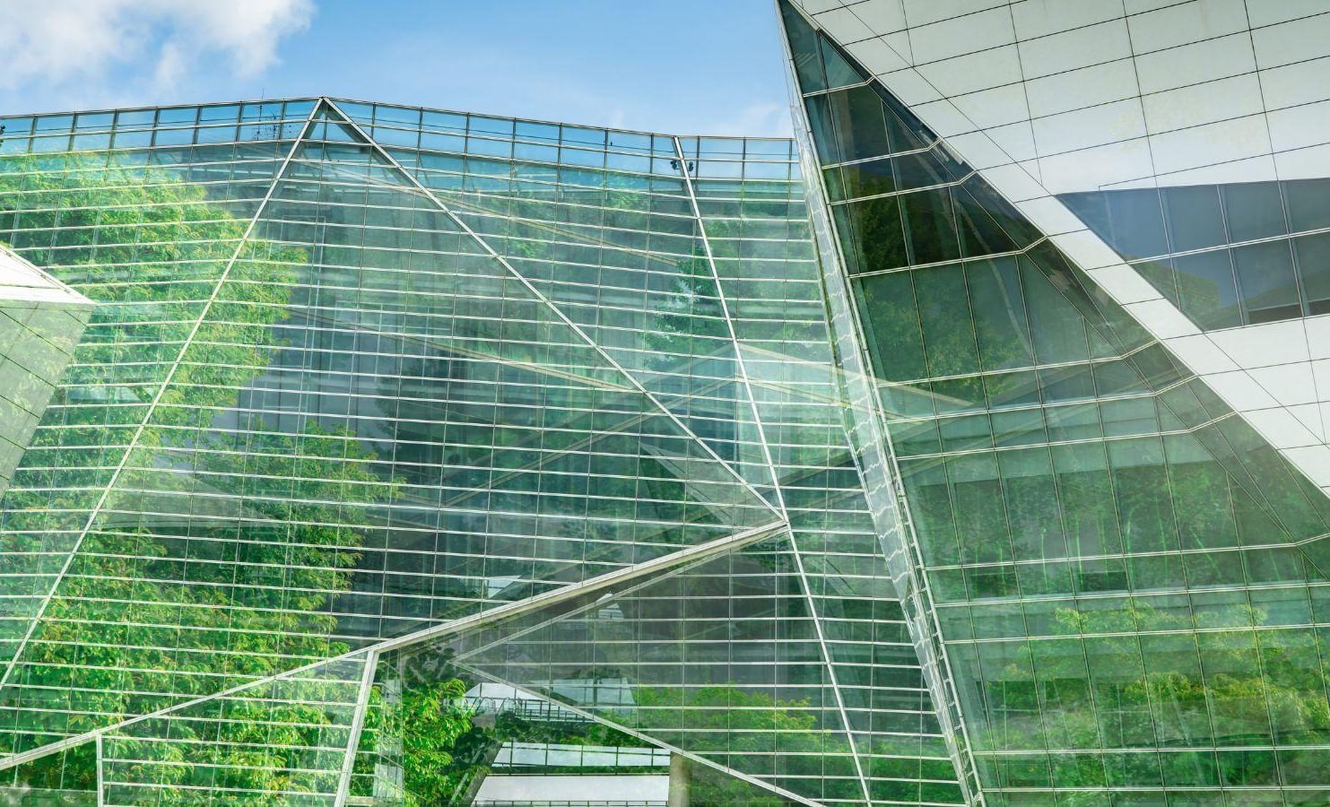 trees reflecting on building