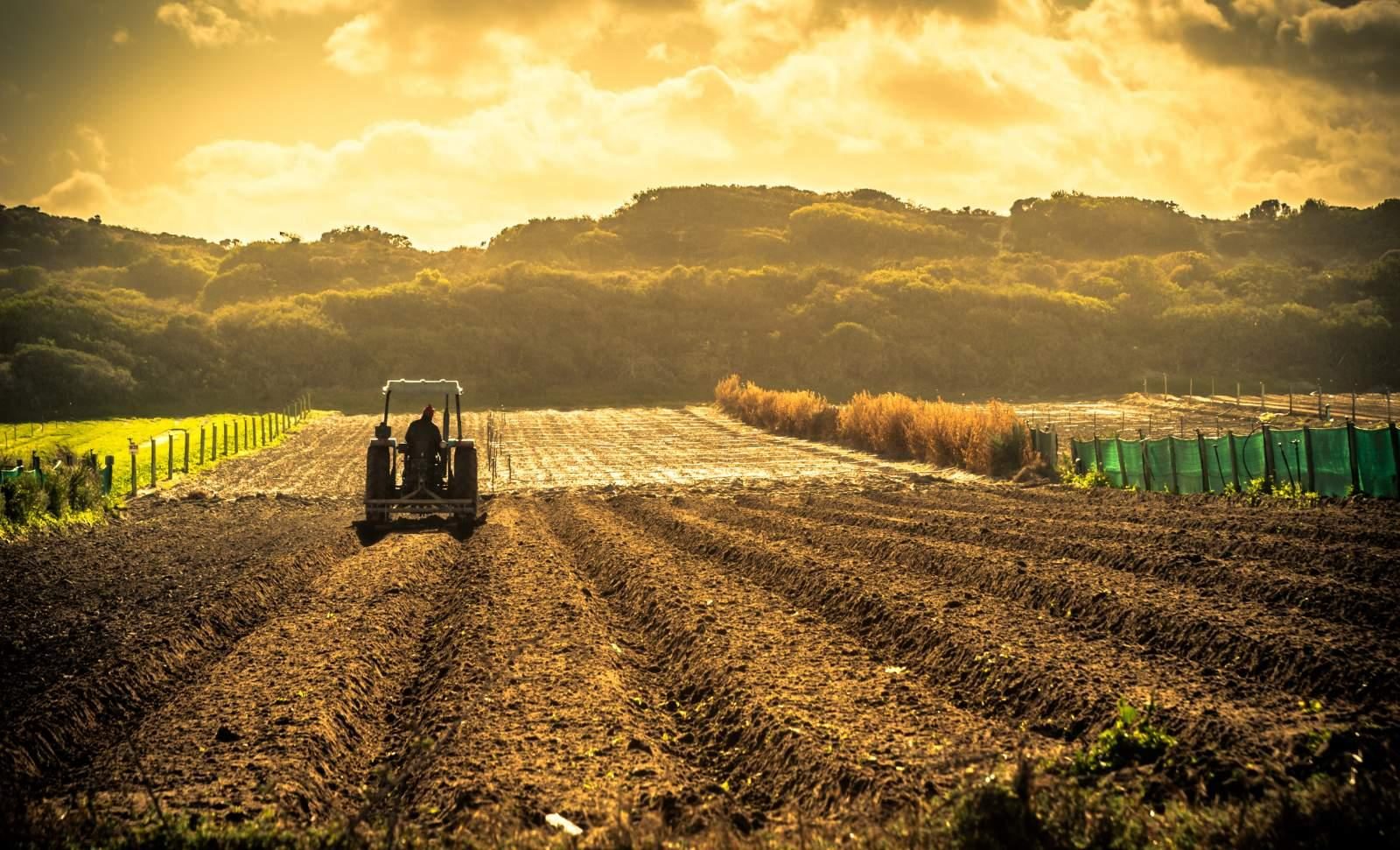 Flag agriculture