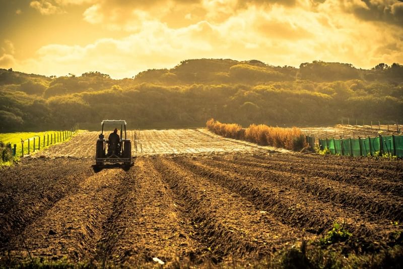 Flag agriculture
