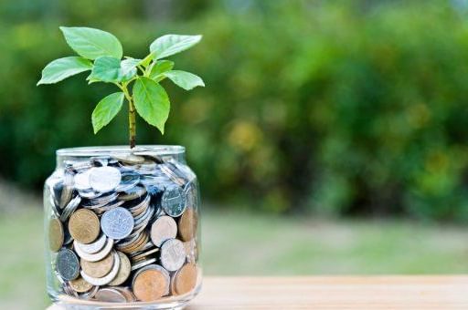 Magic money tree