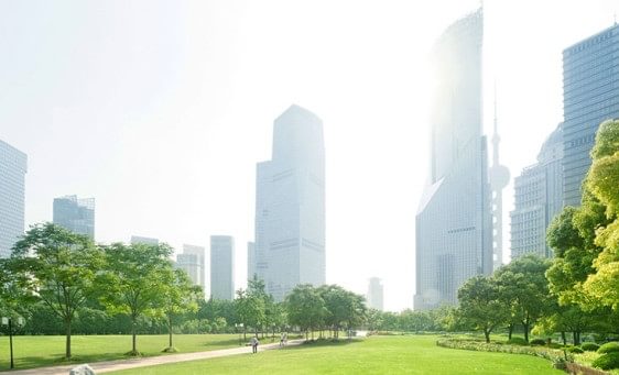 Skyscraper park trees
