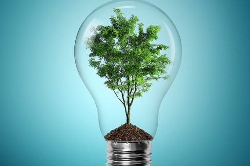 Tree in lightbulb