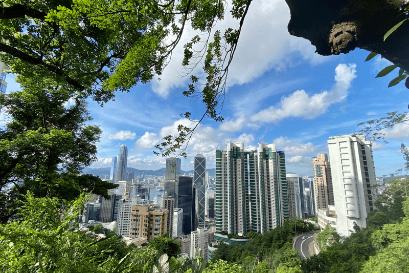 Cover image 7